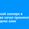 Сибирский зоопарк в Иркутске начал принимать новогодние елки