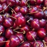 Сезон черешни во Владивостоке: где купить, сколько стоит, насколько вкусно