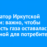 Губернатор Иркутской области: важно, чтобы стоимость газа оставалась доступной для потребителей