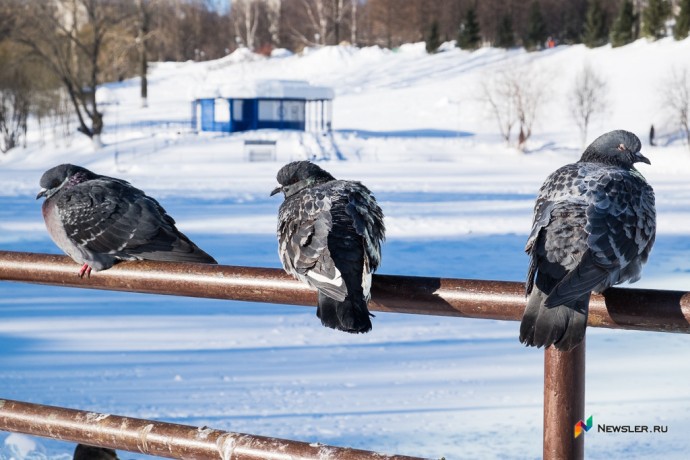 В Кирове резко похолодает до -13