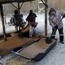 В Тульской области организовали подкормку диких животных