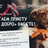 Кировчан приглашают помочь бездомным животным