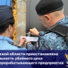 В Тульской области закрыли убойный цех
