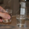 Драка собутыльников переросла в стычку с полицией: приговор