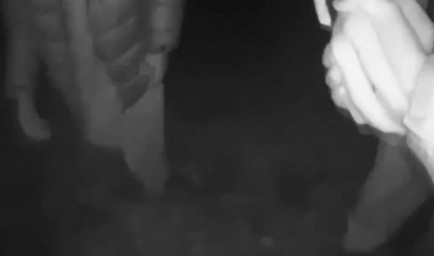 В Саранске сотрудники ППС помогли двум подросткам 14 и 15 лет, заблудившимся в лесу