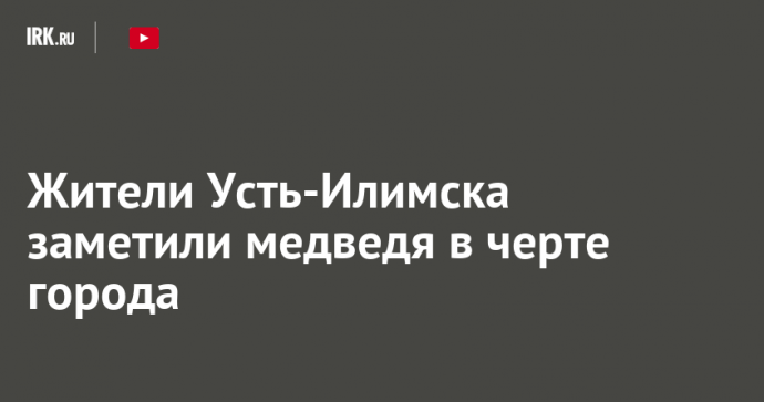 Жители Усть-Илимска заметили медведя в черте города