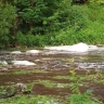 Родник в Малых Рябях оказался загрязнен сточными водами