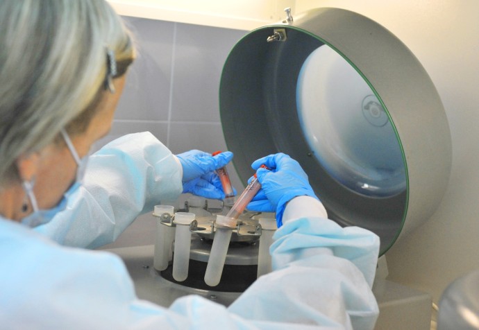 В Щукино ввели карантин по бешенству до 17 января 2026 года В Щукино ввели карантин по бешенству до 17 января 2026 года