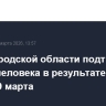 В Белгородской области подтвердили гибель человека в результате атаки дрона 29 марта