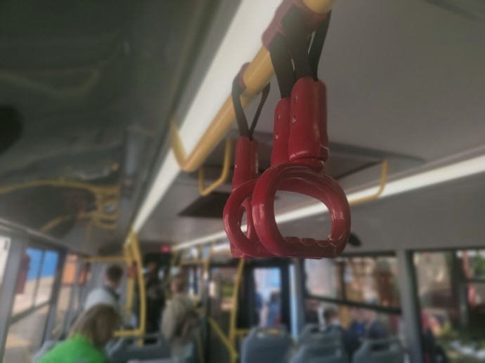 Толпы фанатов Бьянки в Костроме увезут с праздника на автобусах