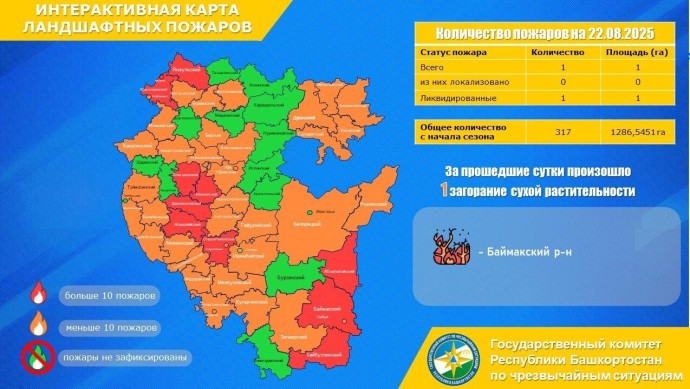В районе Башкирии загорелась сухая трава