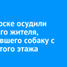 В Ангарске осудили местного жителя, сбросившего собаку с четвертого этажа