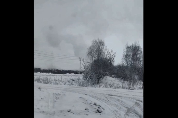 Глава СКР России взял на контроль вопрос о горящих курах в Ярославской области