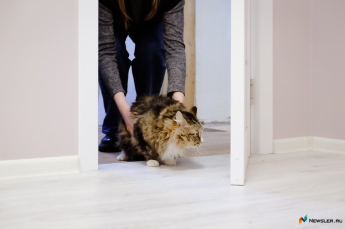 В Кировской области новостройки подорожали на 2%, «вторичка» — на 2,3% В Кировской области новостройки подорожали на 2%, «вторичка» — на 2,3%