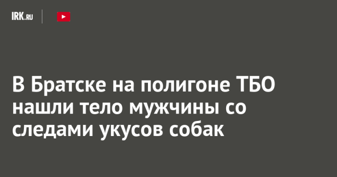 В Братске на полигоне ТБО нашли тело мужчины со следами укусов собак В Братске на полигоне ТБО нашли тело мужчины со следами укусов собак