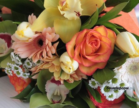 Четыре семьи из Башкирии наградят медалью «Родительская доблесть»