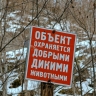 В Башкирии медведь напал на сноубордиста