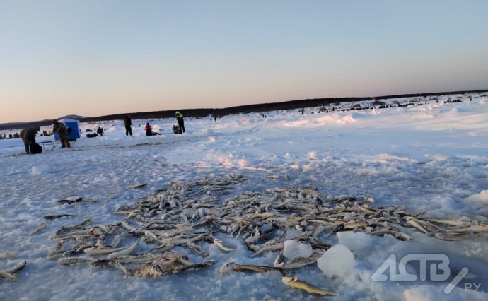 Припай может оторвать в заливе Мордвинова - рыбаков предупреждают об опасности