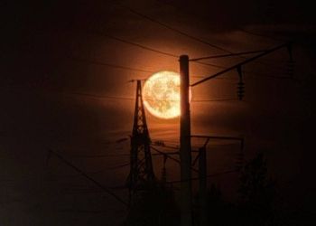 Амурчане любовались «Клубничной Луной»