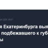 Полиция Екатеринбурга выясняет мотивы подбежавшего к губернатору мужчины