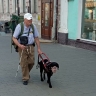 Трагически погиб дедушка, который играл на баяне в подземном переходе на Каминского