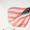 Названа причина отстранения посла США на Украине