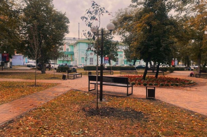 В Черкесске высадили более ста различных пород деревьев с начала года