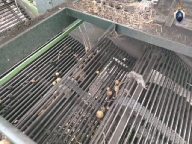 В Мордовии 19-летний юноша погиб во время уборки картофеля