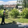Сезонный покос травы стартует в Благовещенске на следующей неделе