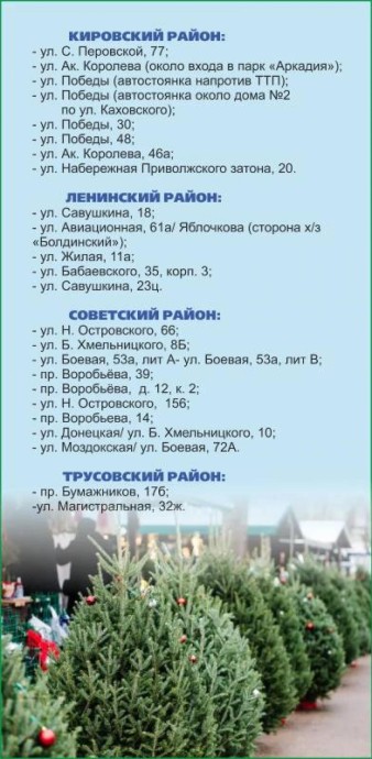 Более 20 точек: в Астрахани стартует продажа новогодних ёлок Более 20 точек: в Астрахани стартует продажа новогодних ёлок