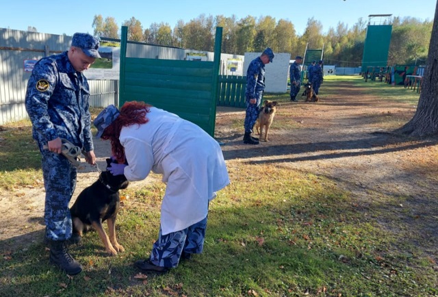 В Мордовию на обучение прибыли инструкторы-кинологи ФСИН из 7 регионов В Мордовию на обучение прибыли инструкторы-кинологи ФСИН из 7 регионов