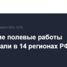 Весенние полевые работы стартовали в 14 регионах РФ