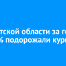 В Иркутской области за год на 4,8% подорожали куриные яйца
