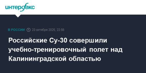 Российские Су-30 совершили учебно-тренировочный полет над Калининградской областью