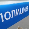 Житель Москвы пытался продать в Мордовию несуществующий баян