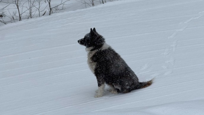 В Башкирии удивили прогнозом на новогодние каникулы