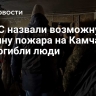 В МЧС назвали возможную причину пожара на Камчатке, где погибли люди