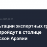Консультации экспертных групп РФ и США пройдут в столице Саудовской Аравии