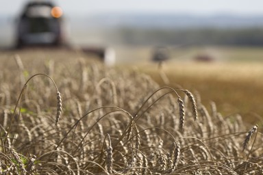 В СФ призвали фермеров активнее использовать агрострахование