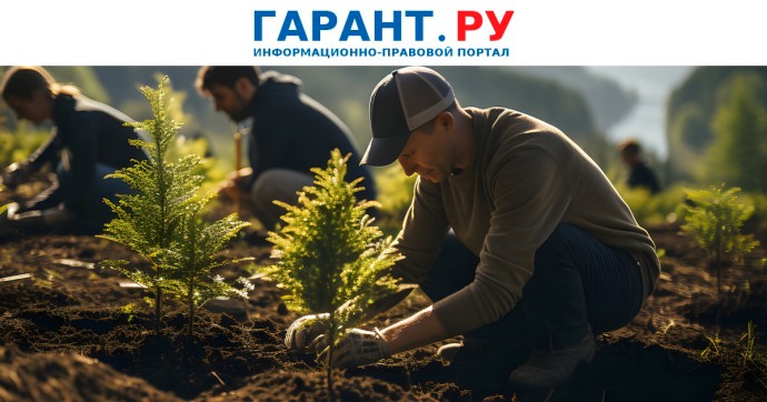 Неверный учет расходов на озеленение придорожной полосы может грозить штрафом