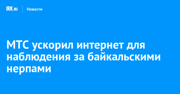 МТС ускорил интернет для наблюдения за байкальскими нерпами