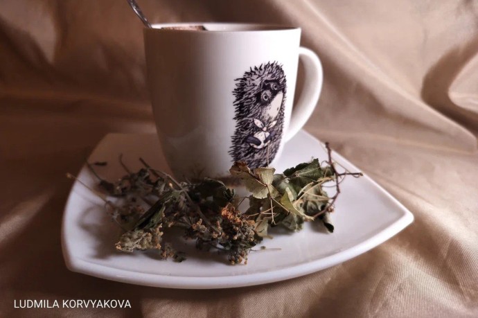 Чай на голодный желудок ведет к гастриту и язве, предупреждают карельские гастроэнтерологи Чай на голодный желудок ведет к гастриту и язве, предупреждают карельские гастроэнтерологи