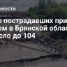 Число пострадавших при ЧП с мостом в Брянской области выросло до 104