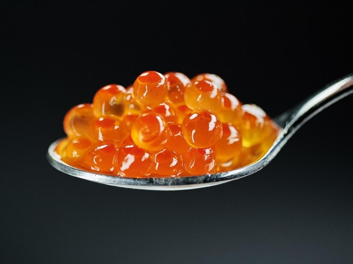 Красная икра хранится до года в холодильнике — заявил глава Росрыболовства Красная икра хранится до года в холодильнике — заявил глава Росрыболовства