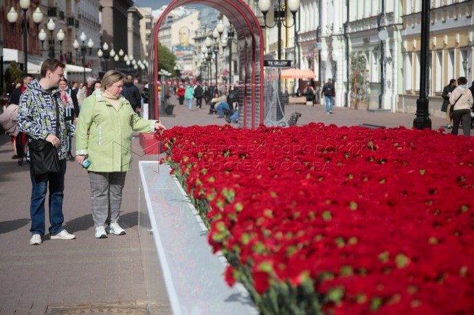 Зеленые оазисы появились в Москве в рамках фестиваля «Сады и цветы»