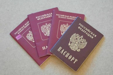 От убийства до педофилии: за что мигранта оставят без гражданства