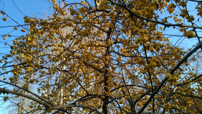 В Башкирии погода готовит радостный сюрприз В Башкирии погода готовит радостный сюрприз