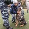 В СФ оценили идею ввести штрафы за кормление бездомных животных