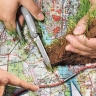 Новые земли присоединили к Костроме: откуда отщипнули