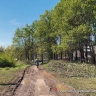 В Ярославле приступили к благоустройству аллеи имени Ивана Ткаченко
